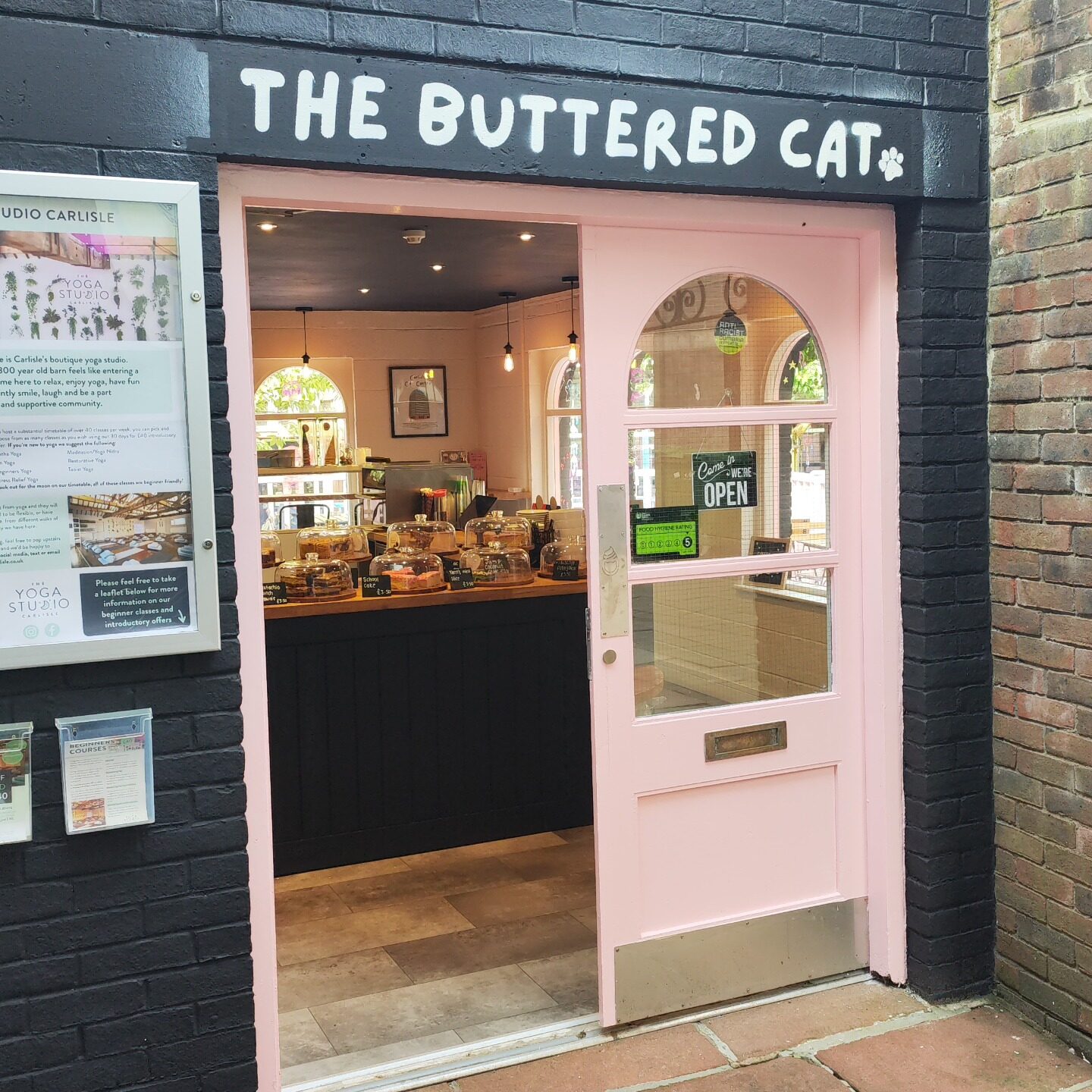 The Buttered Cat photo 2