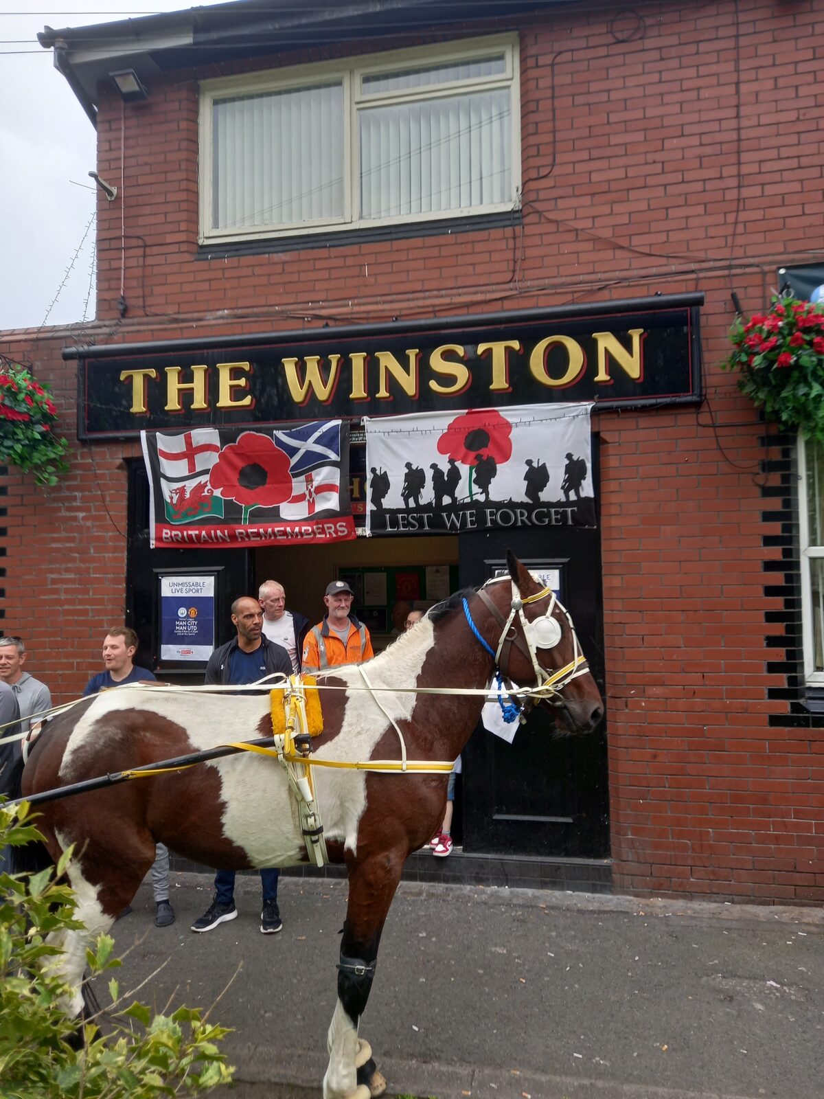 The Winston