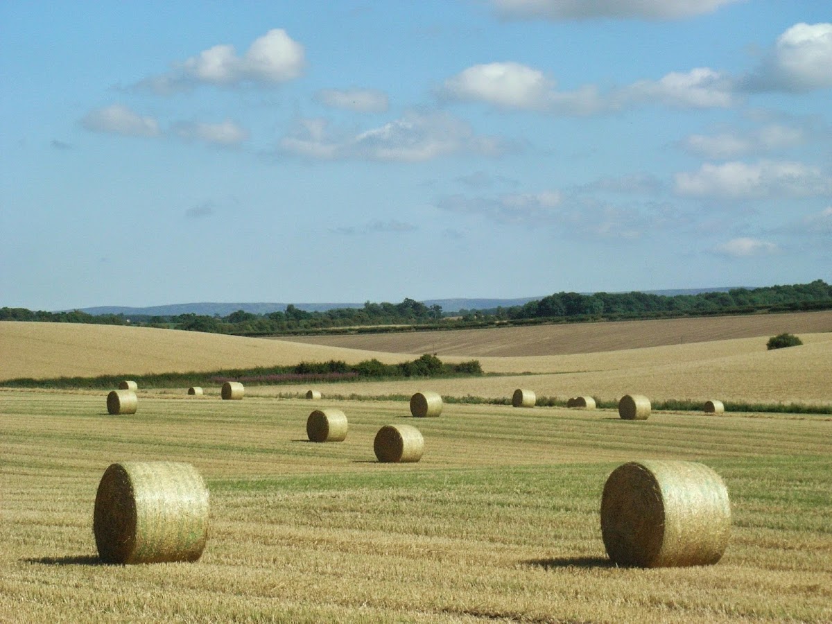 Davidson & Robertson | Cockermouth