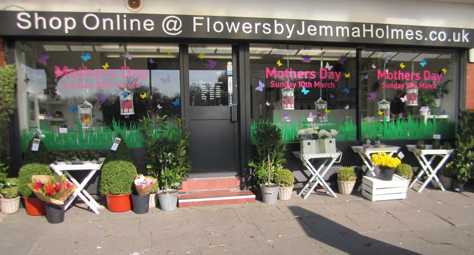 Flowers By Bethany Ltd