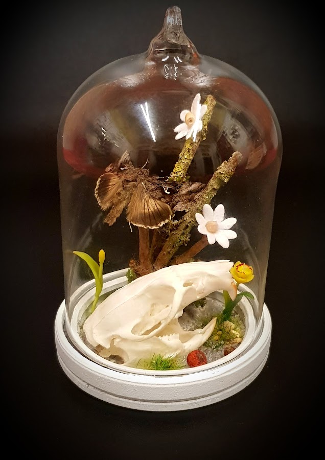Mortal Allure Oddities & Curiosities Art Handcraft Gifts