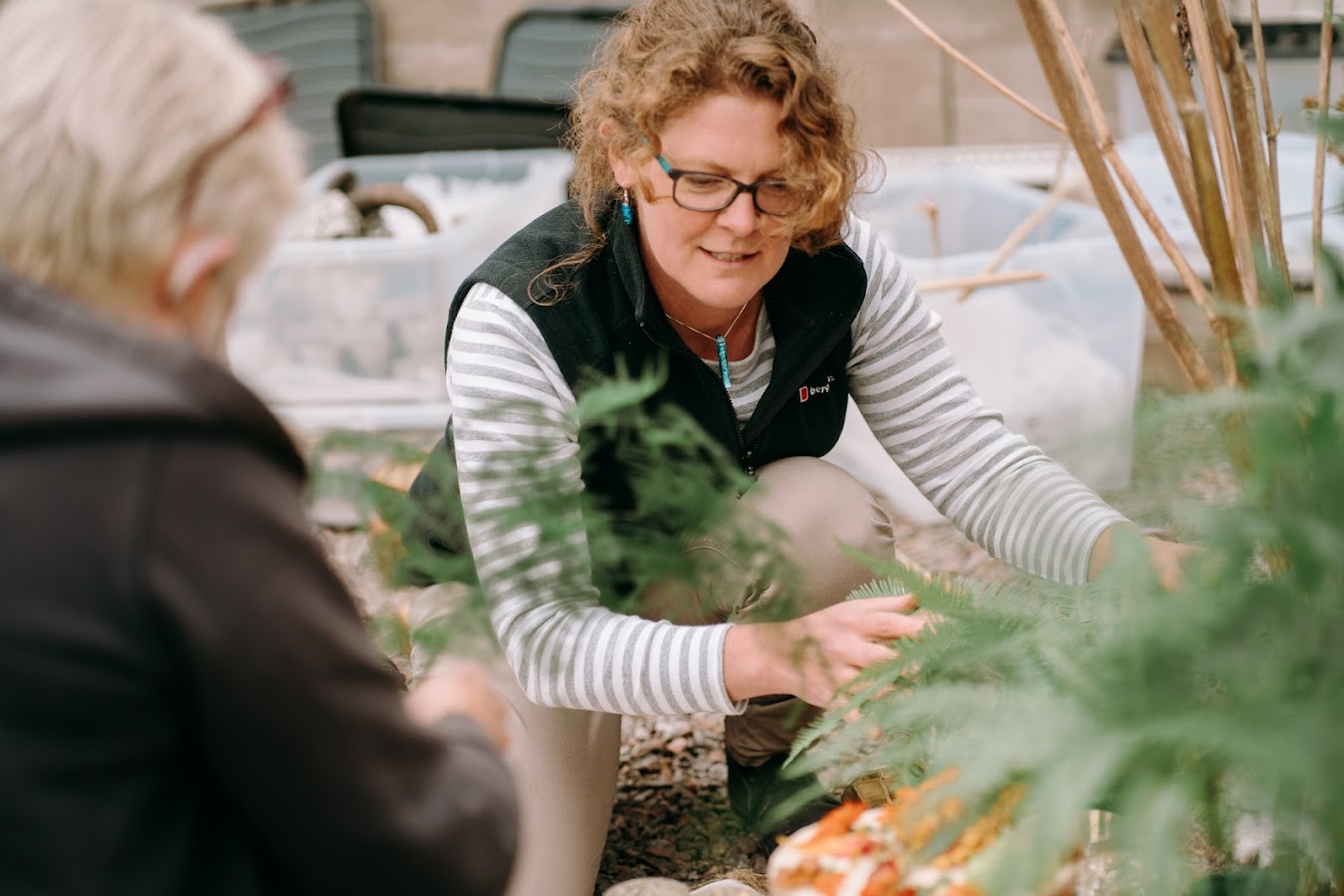 Wild Meadow Marketing