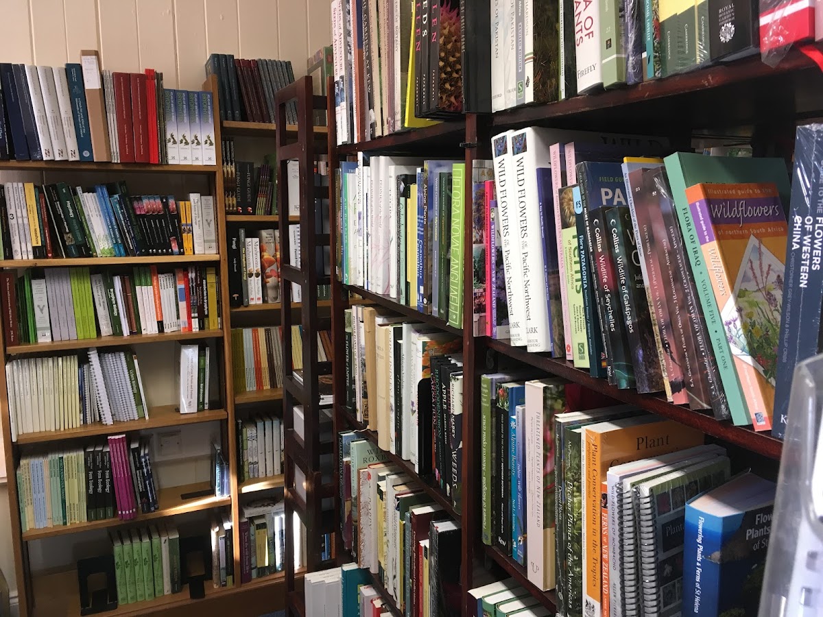 Summerfield Books