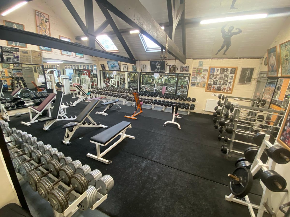 Ted's Gym Health Studio