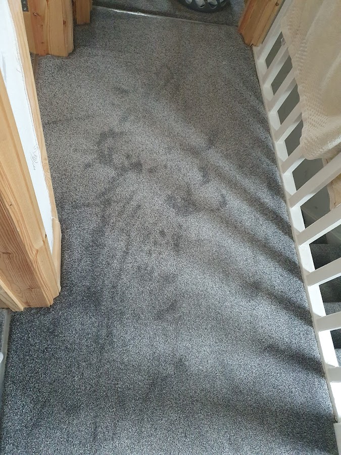 Carpet Shield
