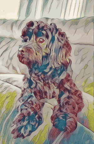 Paint My Pet! Studios