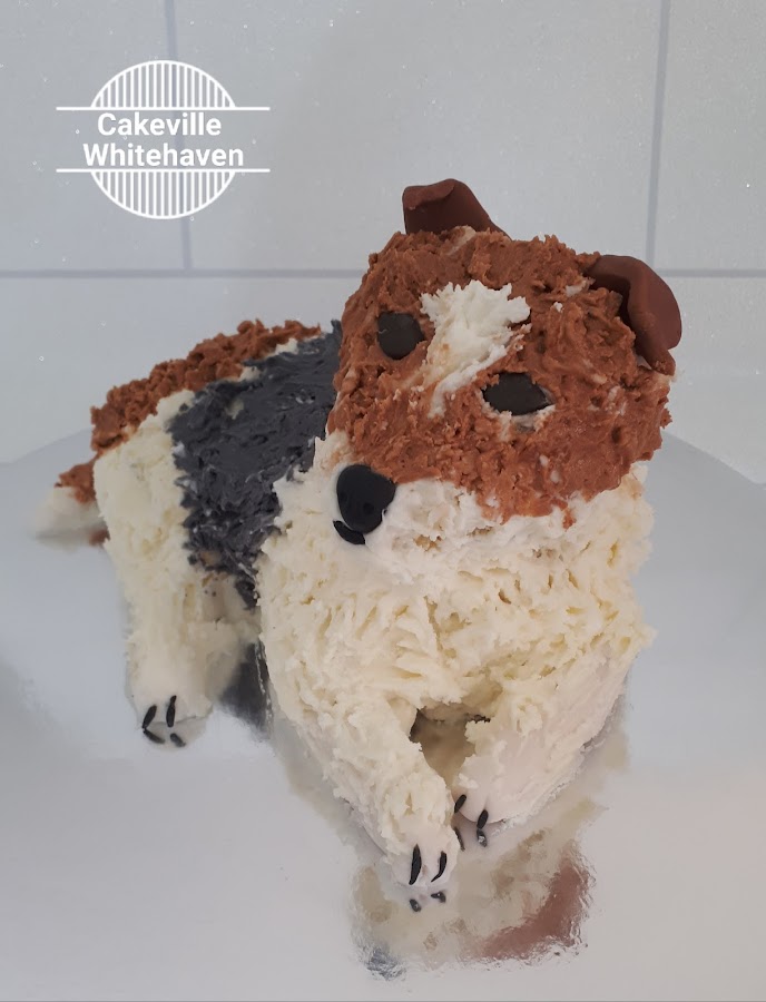 Cakeville Whitehaven Custom Cakes