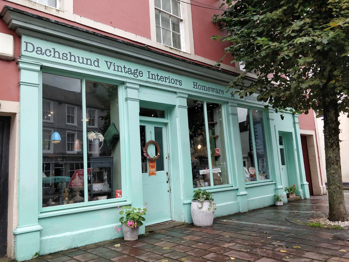 Dachshund Vintage Interiors