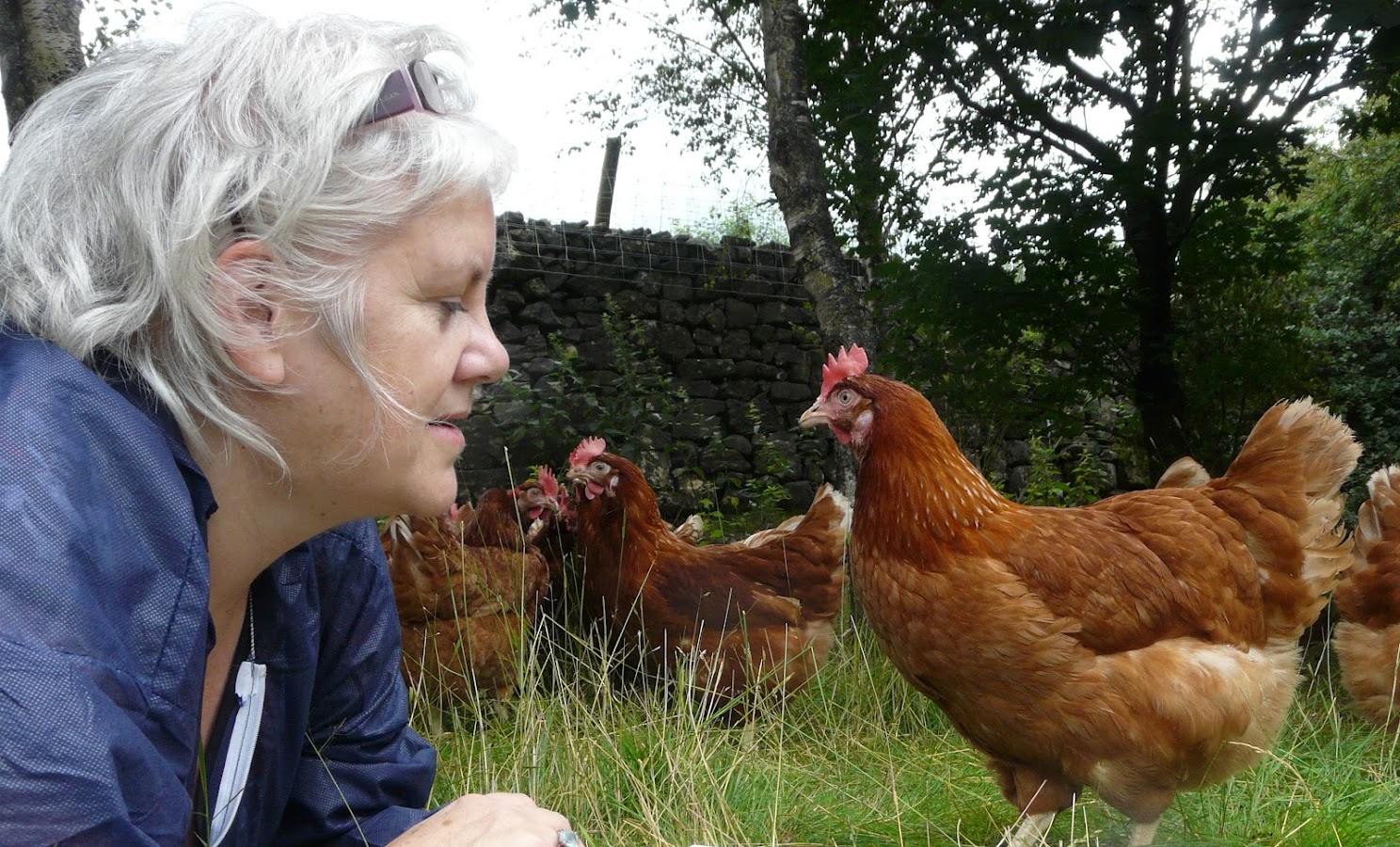 Market Sense - Marketing Cumbria