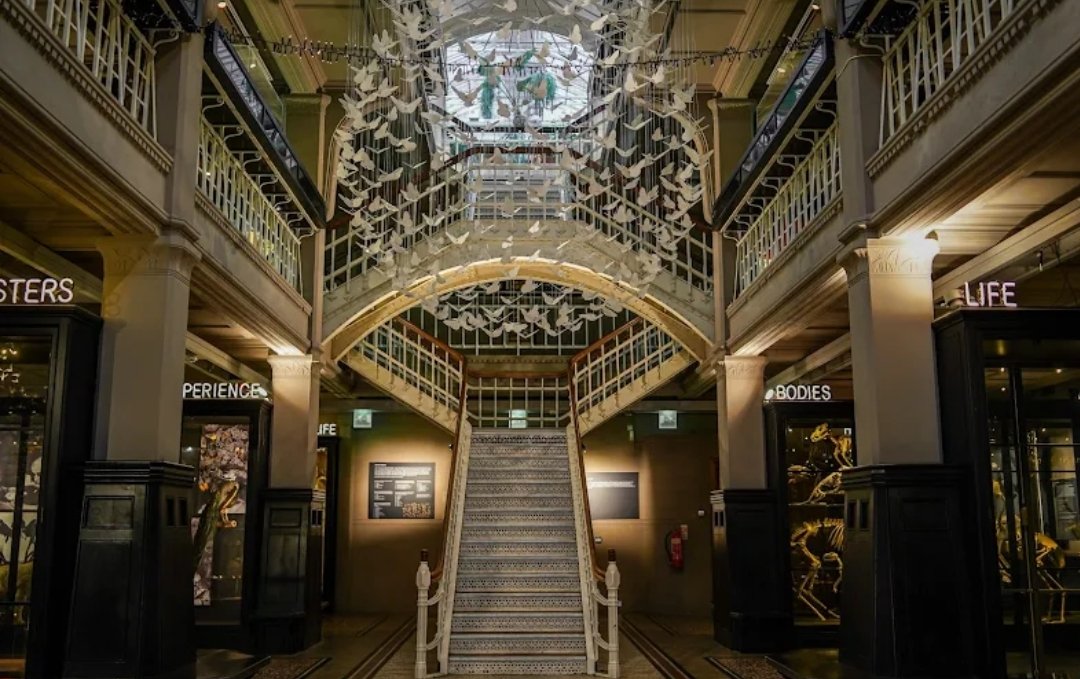 Manchester Museum