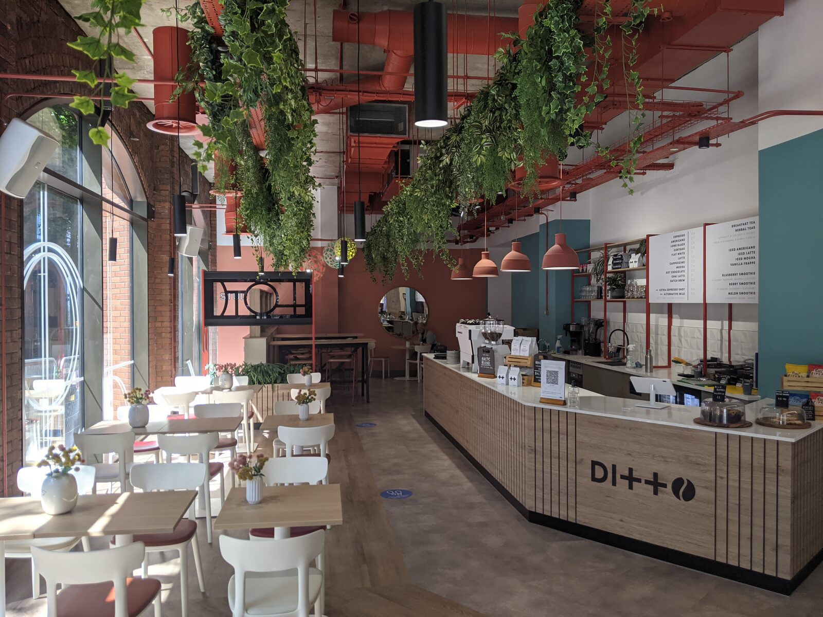 Ditto Coffee photo 2