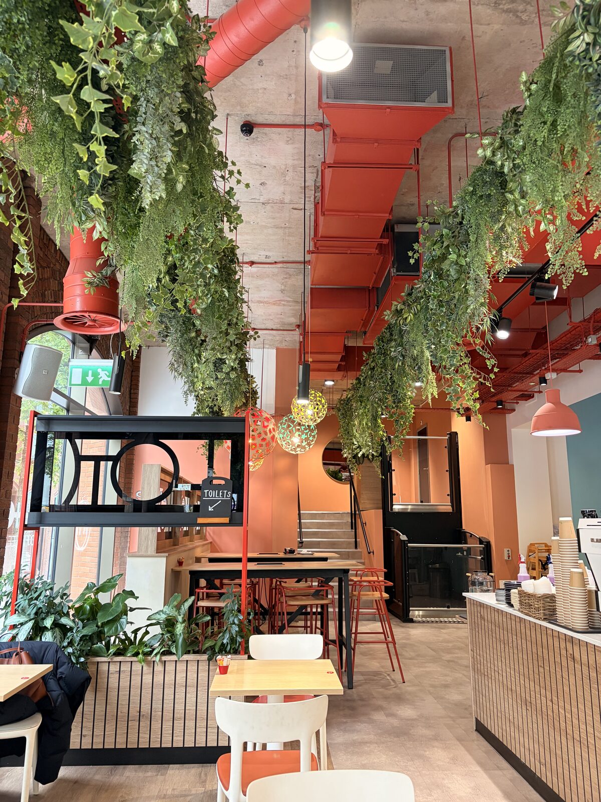 Ditto Coffee photo 4