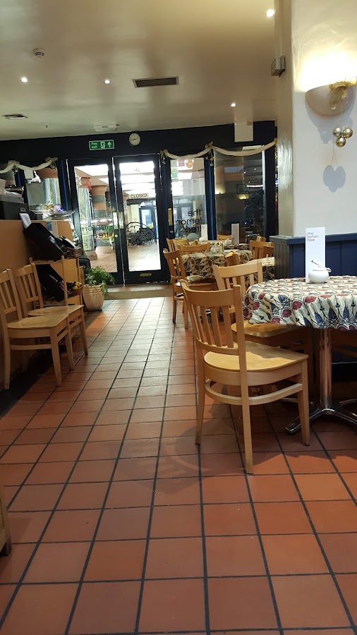 The Lemon Tree Cafe-Bistro