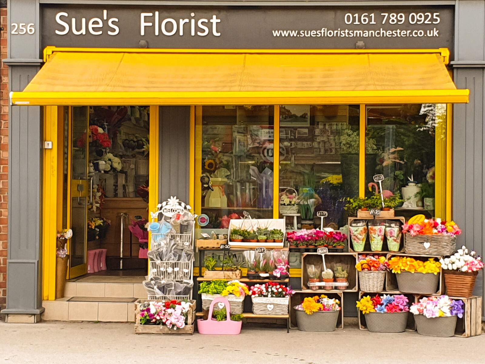 Sue's Florists