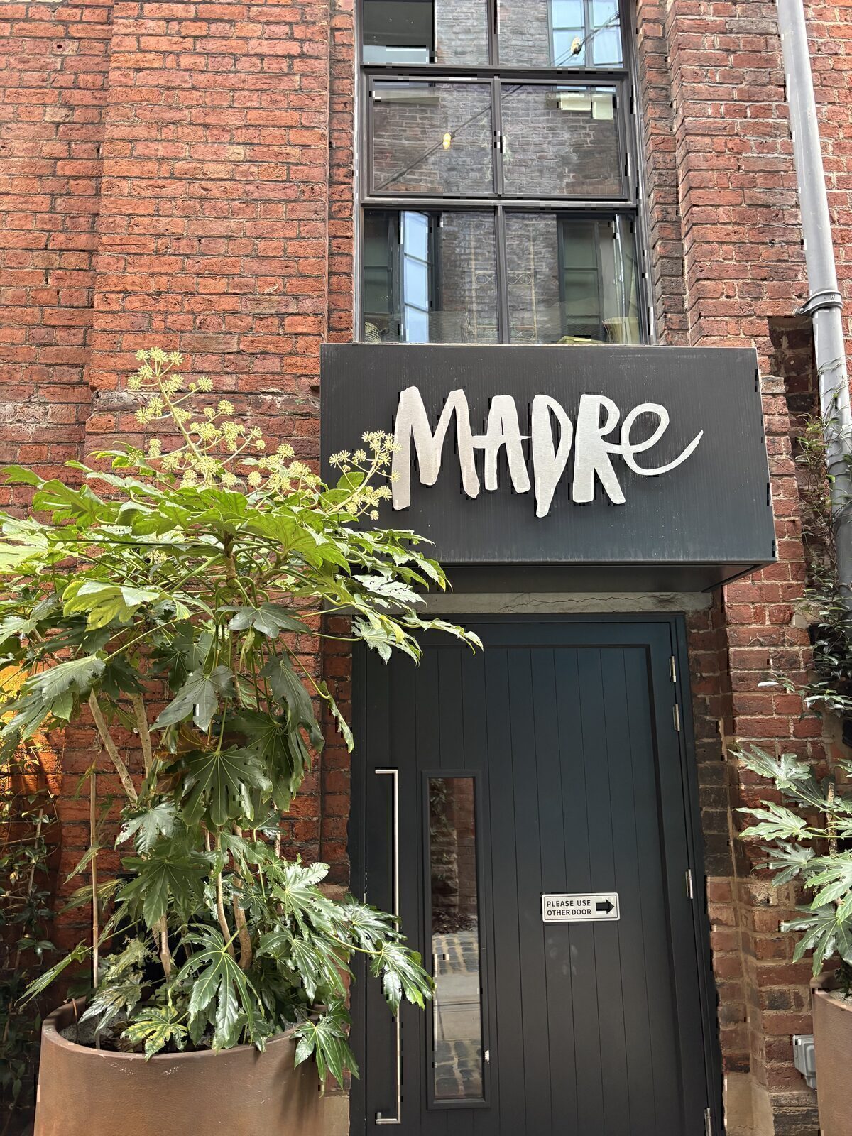 Madre