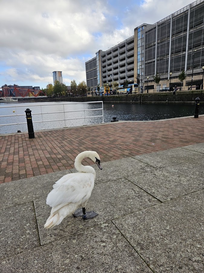 The Lowry Taxi Rank