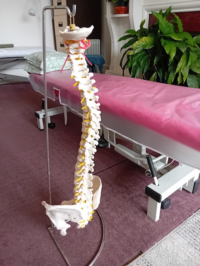 Tricia Rham Spinal Therapist