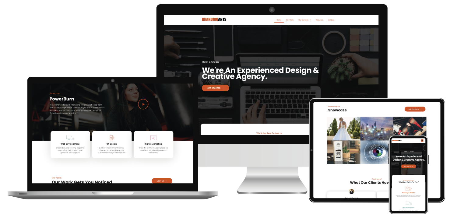 Branding Ants - Website Design Carlisle